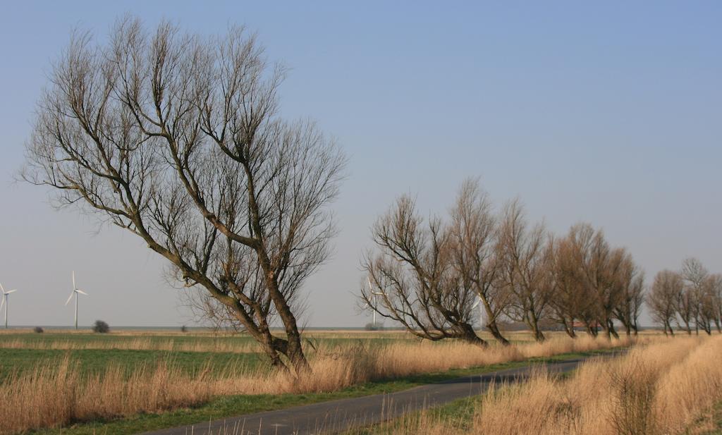 Landhaus Krabbe Von Greetsiel Kültér fotó