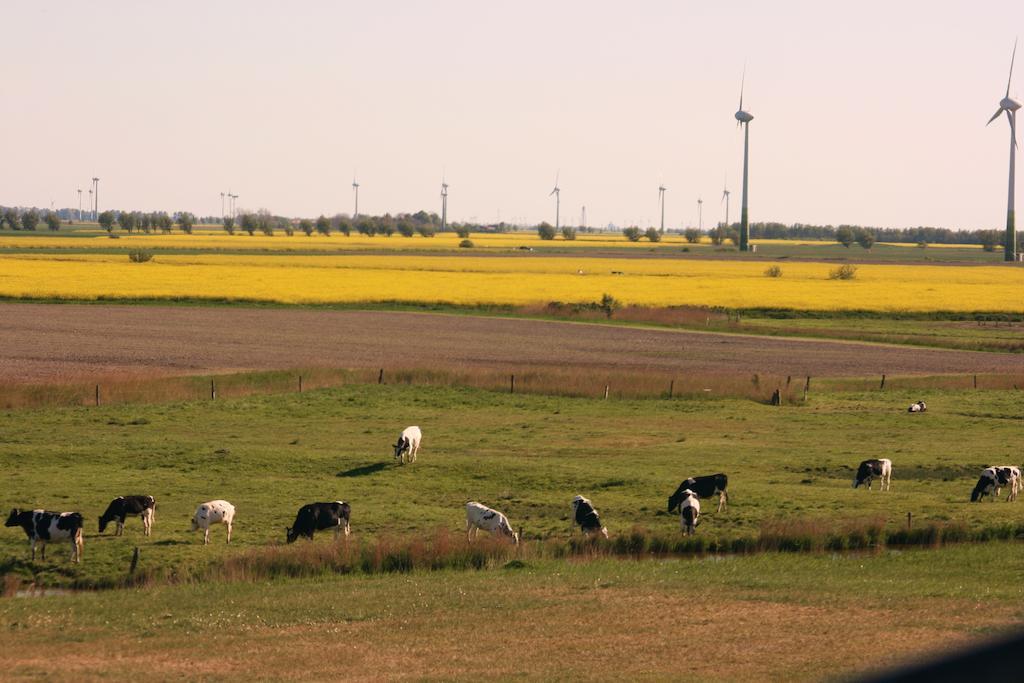 Landhaus Krabbe Von Greetsiel Kültér fotó